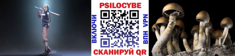 гидра маркетплейс  Маркс  Псилоцибиновые грибы мицелий 